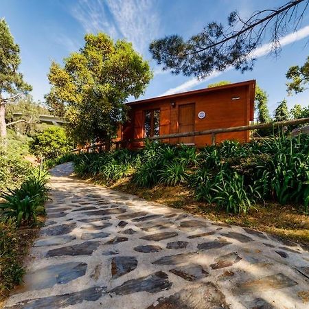 Arrabia Bunga Payva Guest House Raiva ภายนอก รูปภาพ