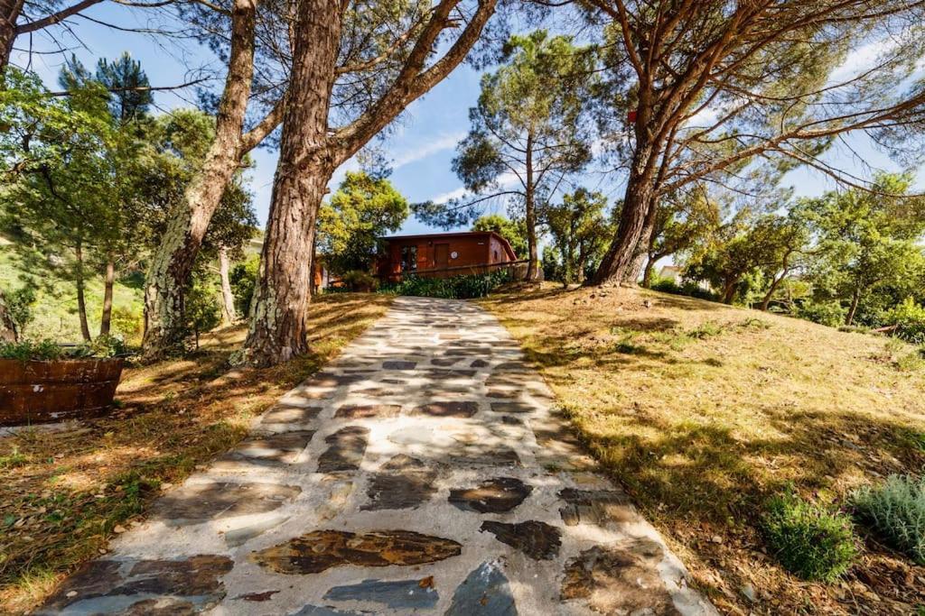 Arrabia Bunga Payva Guest House Raiva ภายนอก รูปภาพ