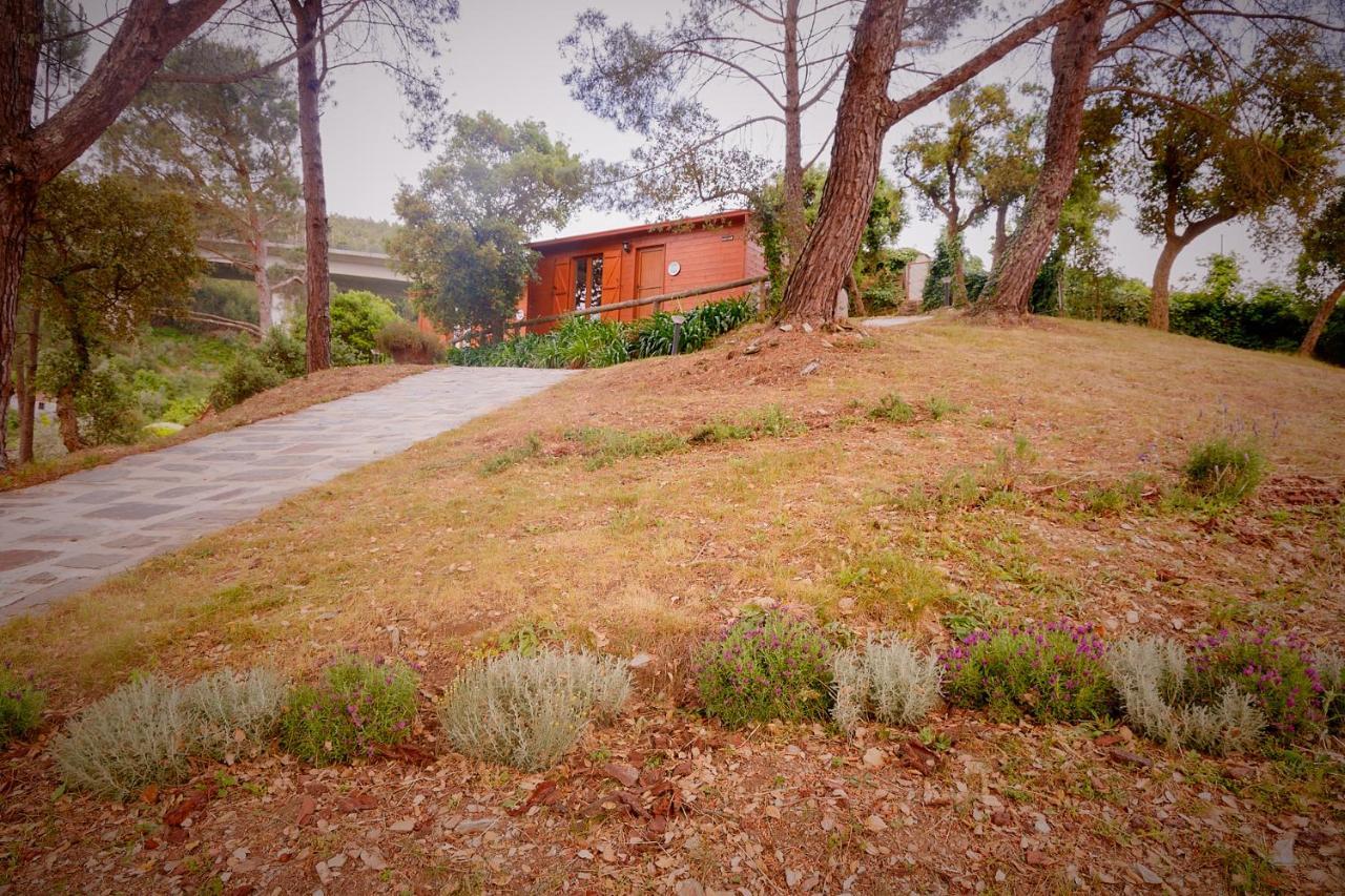 Arrabia Bunga Payva Guest House Raiva ภายนอก รูปภาพ